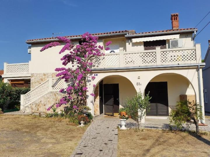 Villa Kadinela, 200M From Kamenjak, Huge Quiet Garden With Barbecue, 2 New Kitchens 프레멘투라 외부 사진